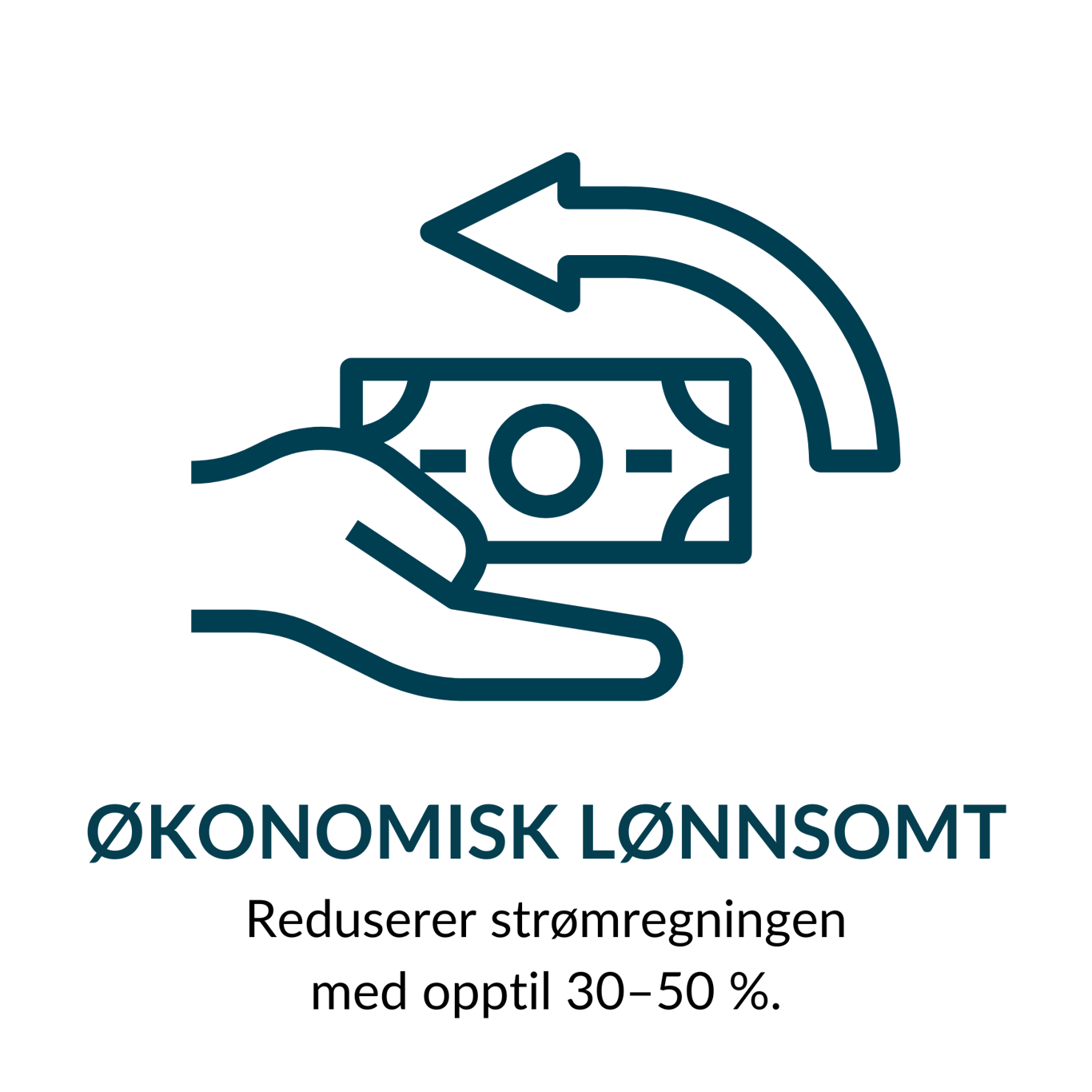økonomisk lønnsom